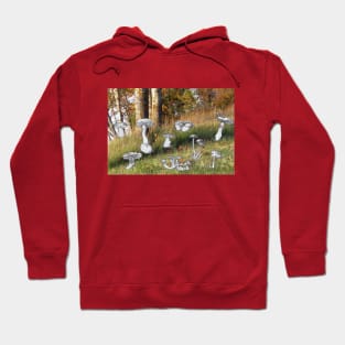 Mushrooms in Forest Glade Hoodie